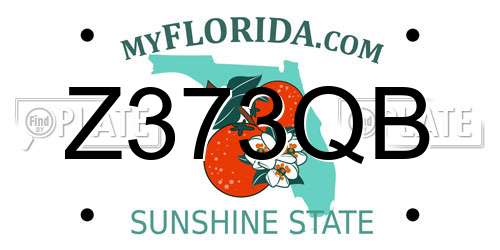 Z373QB Florida License Plate