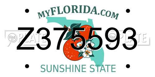 Z375593 Florida License Plate