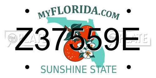 Z37559E Florida License Plate