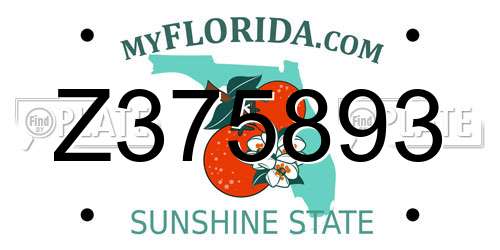 Z375893 Florida License Plate