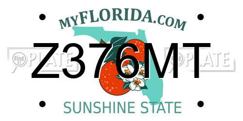 Z376MT Florida License Plate