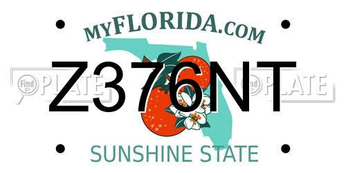 Z376NT Florida License Plate