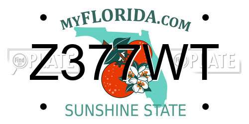 Z377WT Florida License Plate