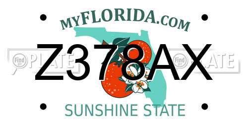 Z378AX Florida License Plate