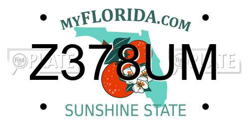 Z378UM Florida License Plate