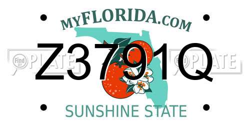 Z3791Q Florida License Plate
