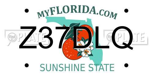 Z37DLQ Florida License Plate