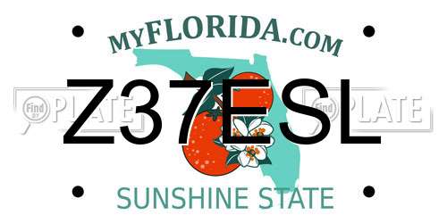 Z37ESL Florida License Plate