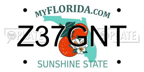 Z37GNT Florida License Plate
