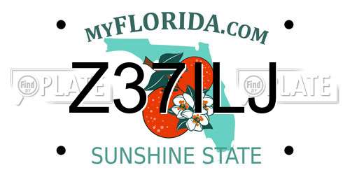 Z37ILJ Florida License Plate