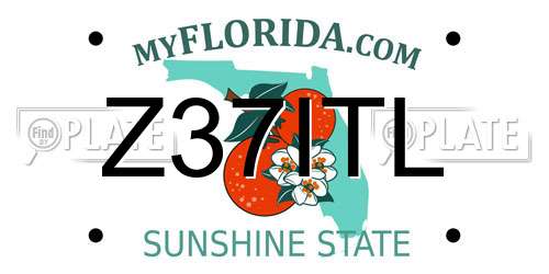 Z37ITL Florida License Plate