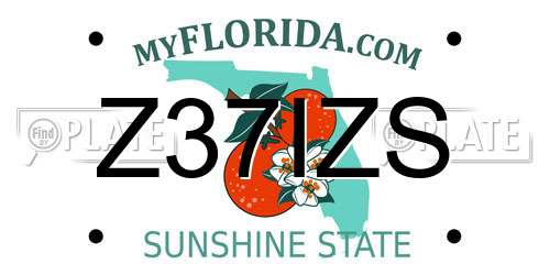Z37IZS Florida License Plate