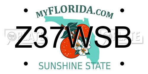 Z37WSB Florida License Plate