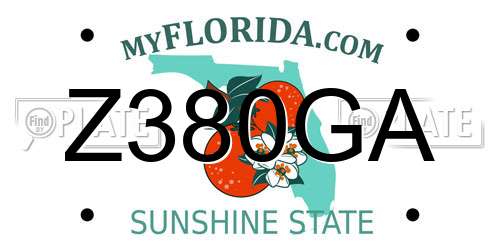 Z380GA Florida License Plate
