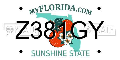 Z381GY Florida License Plate
