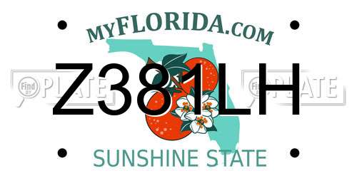 Z381LH Florida License Plate