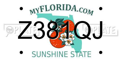 Z381QJ Florida License Plate
