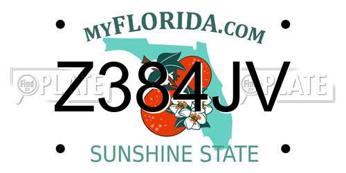 Z384JV Florida License Plate