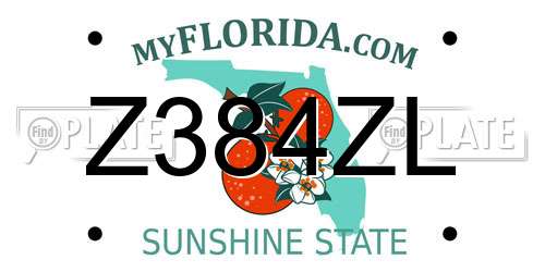 Z384ZL Florida License Plate