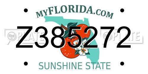 Z385272 Florida License Plate