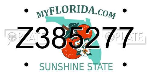 Z385277 Florida License Plate