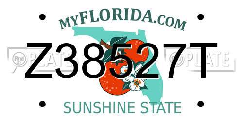 Z38527T Florida License Plate