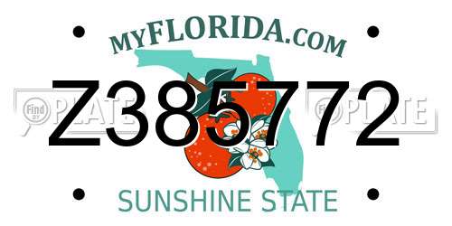 Z385772 Florida License Plate
