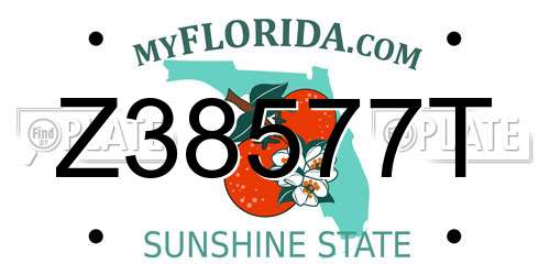 Z38577T Florida License Plate