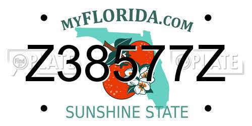 Z38577Z Florida License Plate