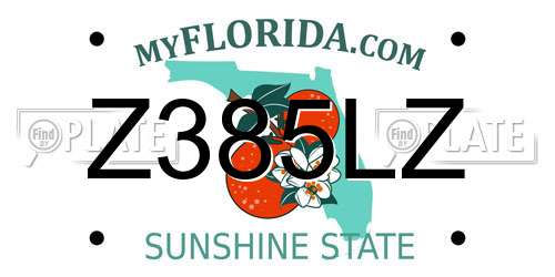 Z385LZ Florida License Plate