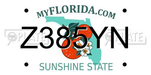 Z385YN Florida License Plate