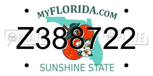 Z388722 Florida License Plate