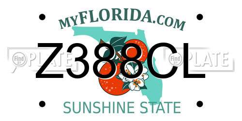 Z388CL Florida License Plate