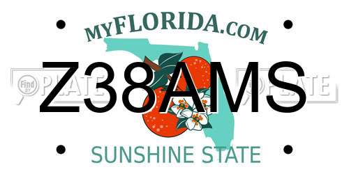Z38AMS Florida License Plate