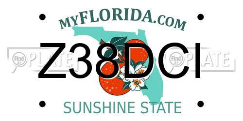 Z38DCI Florida License Plate