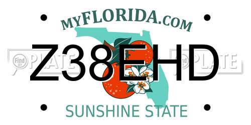 Z38EHD Florida License Plate