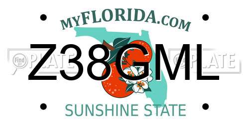 Z38GML Florida License Plate