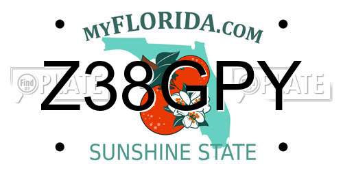 Z38GPY Florida License Plate