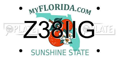 Z38IIG Florida License Plate