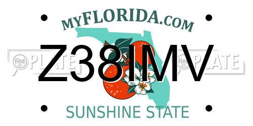 Z38IMV Florida License Plate