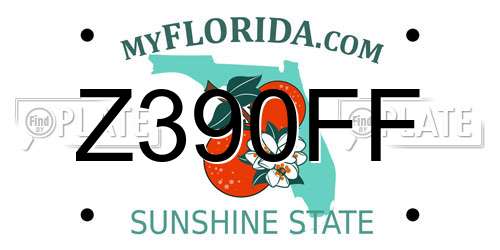 Z390FF Florida License Plate