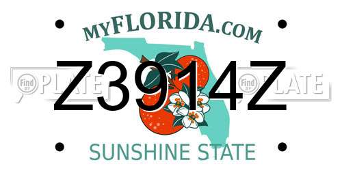 Z3914Z Florida License Plate