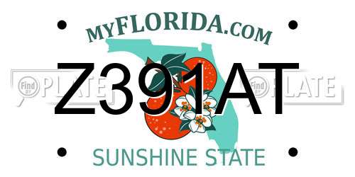 Z391AT Florida License Plate