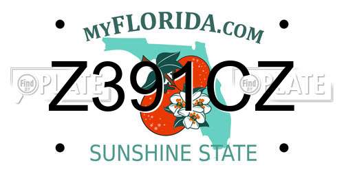 Z391CZ Florida License Plate