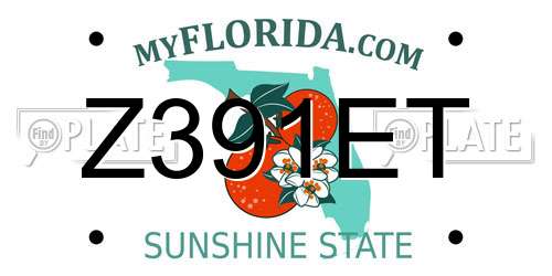 Z391ET Florida License Plate