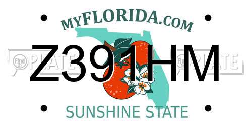 Z391HM Florida License Plate