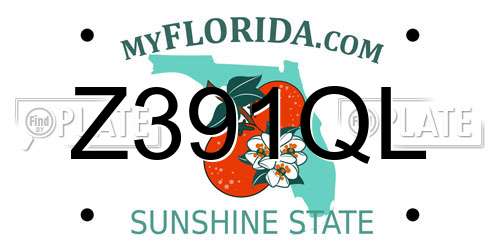 Z391QL Florida License Plate