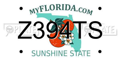 Z394TS Florida License Plate