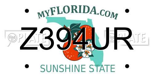 Z394UR Florida License Plate