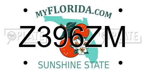 Z396ZM Florida License Plate